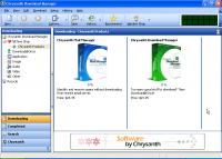 Chrysanth Download Manager 1.6 screenshot. Click to enlarge!