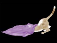 Classic Cats screensaver 1.4 screenshot. Click to enlarge!