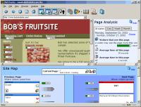 ClickTracks Analyzer 6.5.2 screenshot. Click to enlarge!