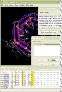 Cn3D 4.3 screenshot. Click to enlarge!