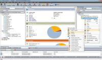 Codenica Audit 2.8.4 screenshot. Click to enlarge!