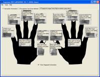 Cognaxon NIST (ANSI/NIST-ITL 1-2000) viewer 4.2.0.0 screenshot. Click to enlarge!