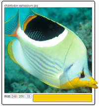 ColorWheel Harmony 2.5 screenshot. Click to enlarge!