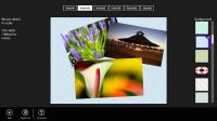 Cool Collage for Windows 8 1.0.1.6 screenshot. Click to enlarge!
