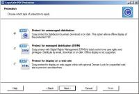 CopySafe PDF Protector 3.0 screenshot. Click to enlarge!