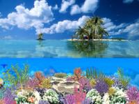 Coral Island 5.07 screenshot. Click to enlarge!