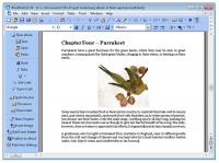 Corel WordPerfect Office X6 16.0.0.318 screenshot. Click to enlarge!