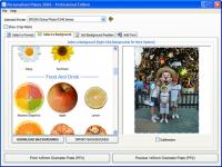 Create A Plate 2008 2.0.0.1 screenshot. Click to enlarge!