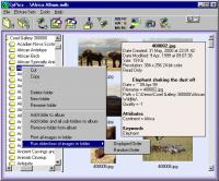 CyPics - Photo Cataloging 4.1.10 screenshot. Click to enlarge!