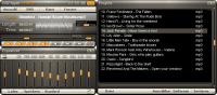DSPlayer 0.889 lite screenshot. Click to enlarge!