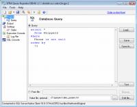 DTM Query Reporter 1.20.11 screenshot. Click to enlarge!