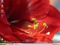 DTgrafic FlowerPower 2.6.3 screenshot. Click to enlarge!