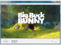 DVD-Ranger Player 2.6.0.2 screenshot. Click to enlarge!