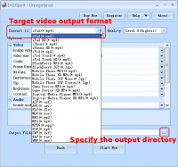 DVDSpirit 1.65 screenshot. Click to enlarge!