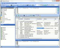 Database Browser 5.3.1.9 screenshot. Click to enlarge!