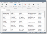 Database Cleaner 1.2 screenshot. Click to enlarge!