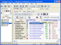 Database Tour Pro 8.2.4.33 screenshot. Click to enlarge!