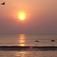 Dazzling Daytona Sun Screensaver 1.0 screenshot. Click to enlarge!