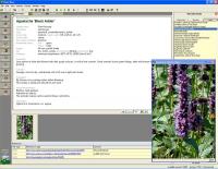Deeproot Plant Base 2.1.6 screenshot. Click to enlarge!