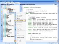 Developer