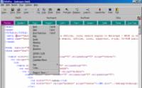 DiDaPro HTML Editor 5.10 screenshot. Click to enlarge!