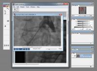 Digital Anatomy 1.0.25 screenshot. Click to enlarge!