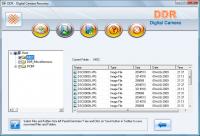 Digital Camera Data Recovery Software 3.0.1.5 screenshot. Click to enlarge!