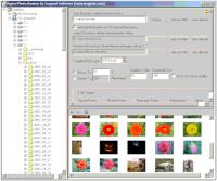 Digital Photo Resizer 2006 screenshot. Click to enlarge!