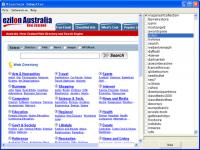 Directory Submitter 2.3 screenshot. Click to enlarge!