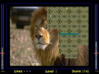 Discovera 1.8 screenshot. Click to enlarge!