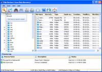 Disk Doctors Linux Data Recovery 1.0 screenshot. Click to enlarge!