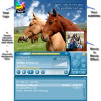 DivX Operational Player 1.35 screenshot. Click to enlarge!