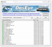 DnsEye 1.6.3 screenshot. Click to enlarge!