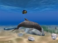 Dolphin Aqua Life 3D Screensaver 3.1.0 screenshot. Click to enlarge!