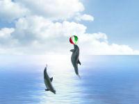 Dolphin Dreams Screensaver 5.5 screenshot. Click to enlarge!