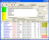Domain Name Pro 5.33 screenshot. Click to enlarge!