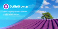 DotNetBrowser 1.9 screenshot. Click to enlarge!