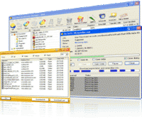 Download Accelerator Manager 4.5.49 screenshot. Click to enlarge!