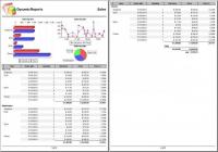 DynamicReports for JasperReports 4.1.1 screenshot. Click to enlarge!