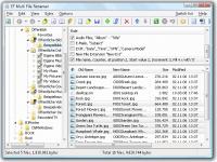 EF Multi File Renamer 5.00 screenshot. Click to enlarge!