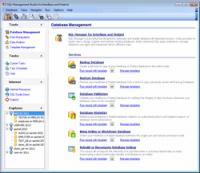 EMS SQL Management Studio for InterBase/Firebird 1.2 screenshot. Click to enlarge!