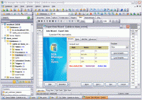 EMS SQL Manager 2011 Lite for MySQL 5.3.1.3 screenshot. Click to enlarge!
