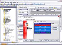 EMS SQL Manager for Oracle Freeware 2.4 screenshot. Click to enlarge!