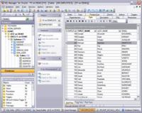 EMS SQL Manager for Oracle 2.4 screenshot. Click to enlarge!