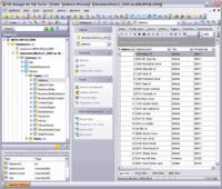 EMS SQL Manager for SQL Server Freeware 3.6 screenshot. Click to enlarge!