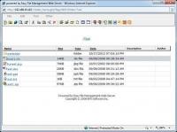 Easy File Management Web Server 5.6 screenshot. Click to enlarge!