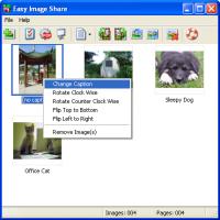 Easy Image Share 1.0 screenshot. Click to enlarge!