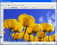 Easy Screen Ripper 3.2 screenshot. Click to enlarge!
