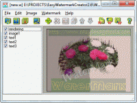 Easy Watermark Creator 3.6 screenshot. Click to enlarge!