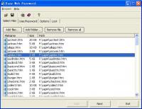 Easy Web Password 1.3 screenshot. Click to enlarge!